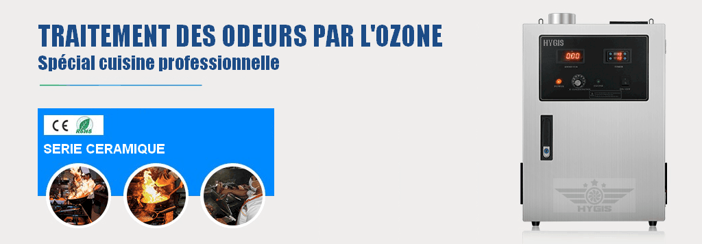 destructeur d'odeurs ozone pour hotte professionnelle