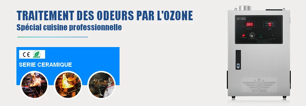 destructeur d'odeurs ozone pour hotte professionnelle